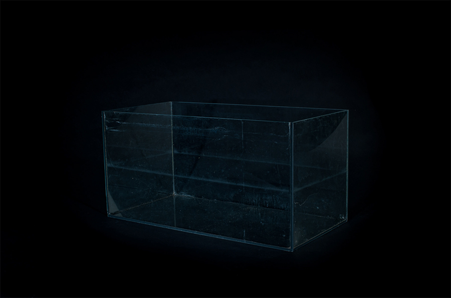 Image of a fish tank - blue on black