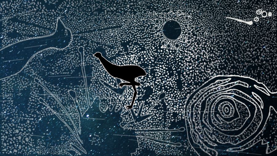 An illustration of emus and other objects on a dark blue background. 