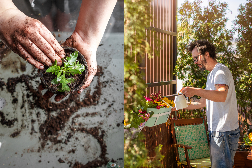 Two portrait images stitched to each other. Left image is a birds-eye view of someone putting a small plant in a pot. On the right there is a person wearing a white t-shirt watering a planter box. 
