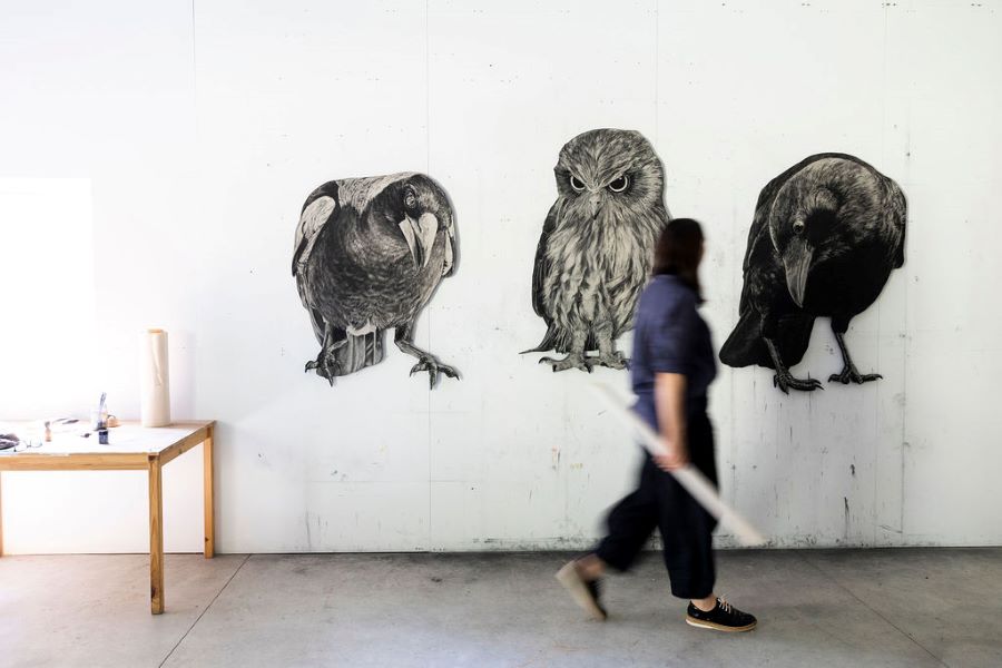 A person walking in front of a drwan magpie, owl and crow on a wall