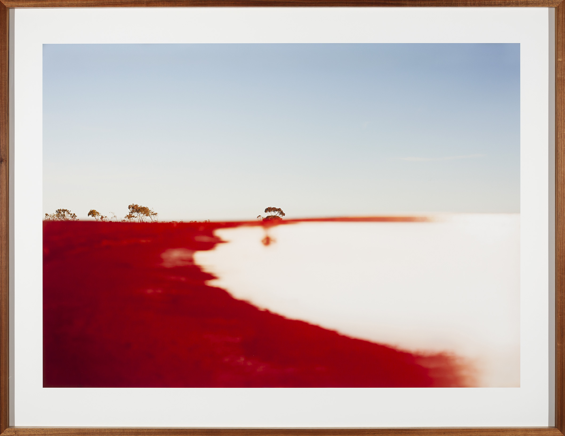 Photograph of outback Australia showing red earth with trees in the distance