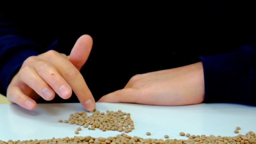 Hand sits center frame and counts food like pellets on a blue table