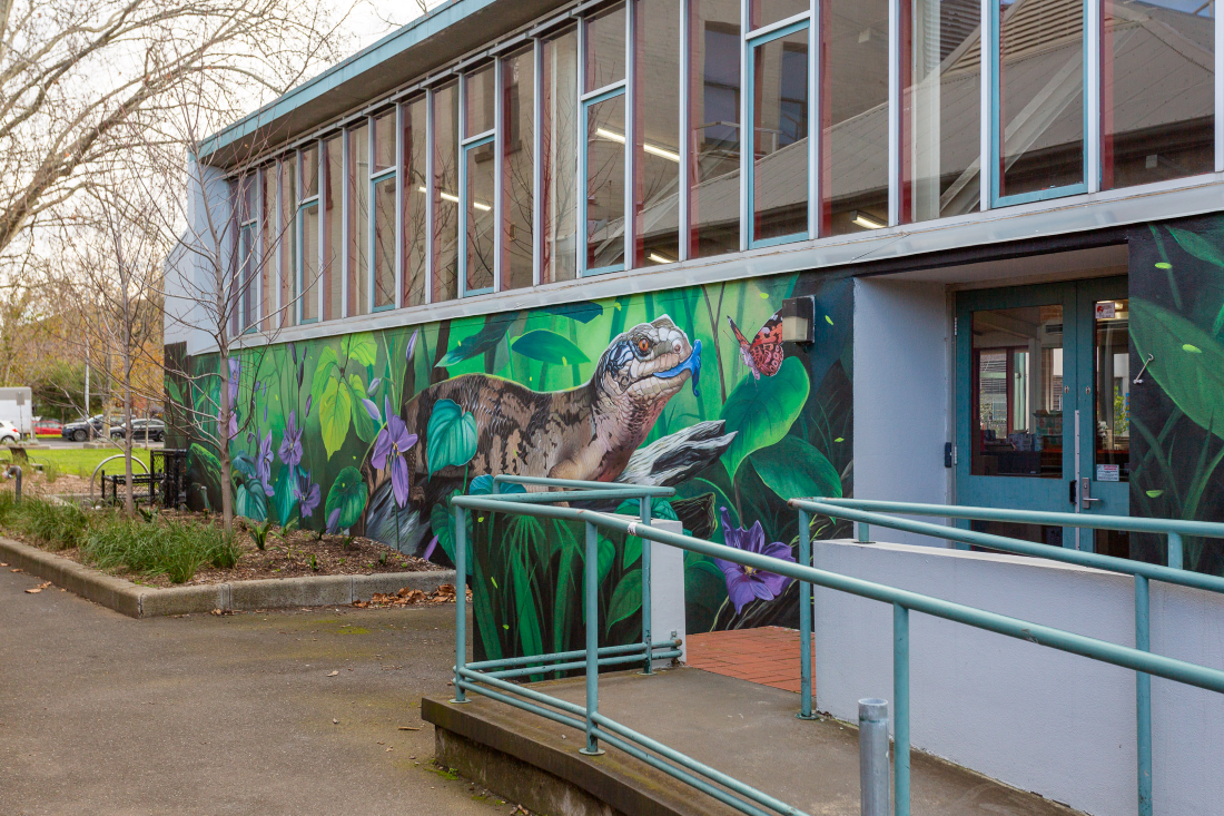 The external wall of Collingwood Senior Citizens Centre, featuring a mural with many native Australian animals such as a blue tongue lizard.