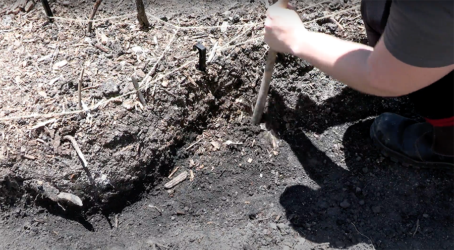 A person driving wooden stakes into soil