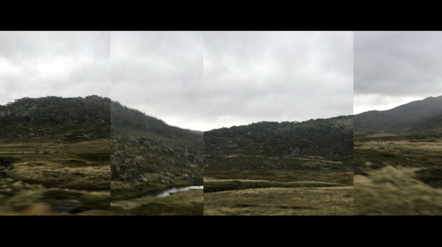 A panoramic frame separated into four sections of gorgeous green trees and forest in Jindabyne.