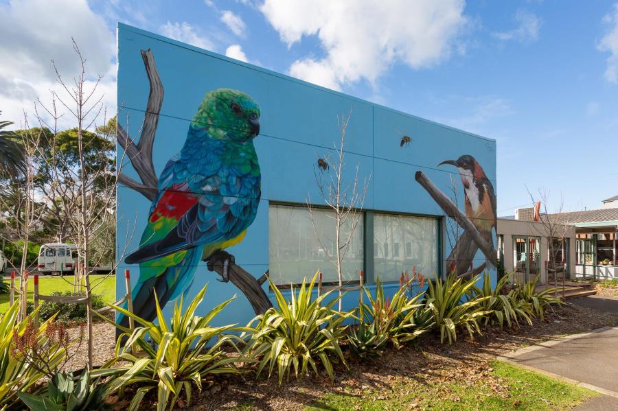 Mural of native birds by Sam Yong