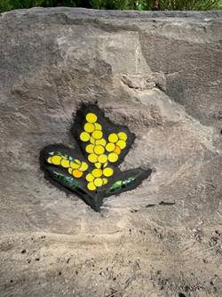 Wattle, Yarra Bend Mosaics by Dawn Anderson