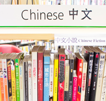 Chinese books on a shelf