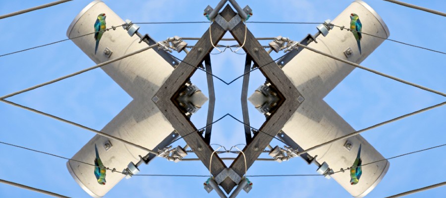 Abstract image with birds, wired and silos